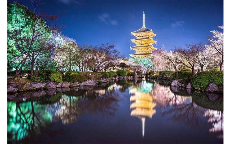 如何打造出讓市民滿意的公園亮化工程？